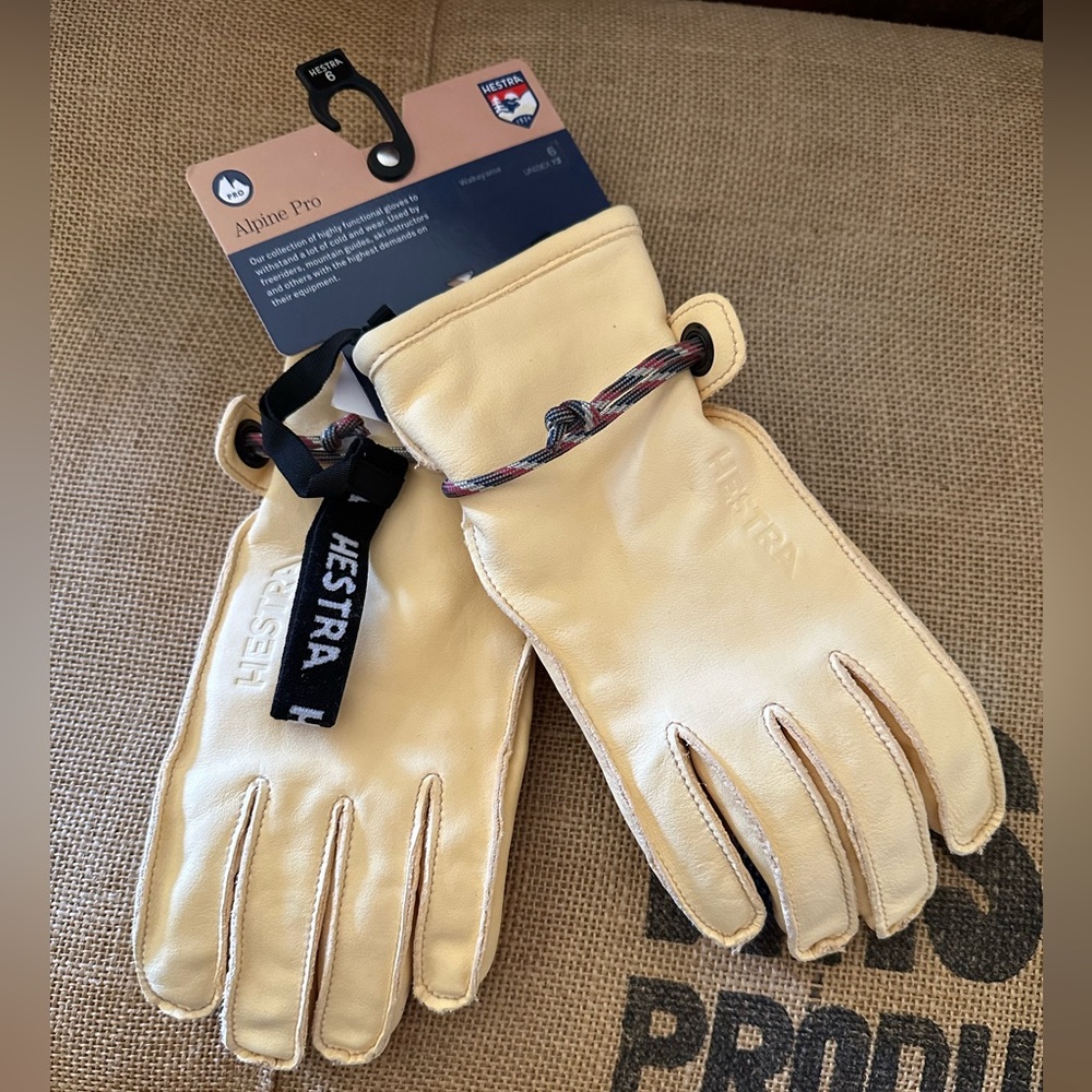 Hestra Alpine Pro Wakayama Gloves sz 6
